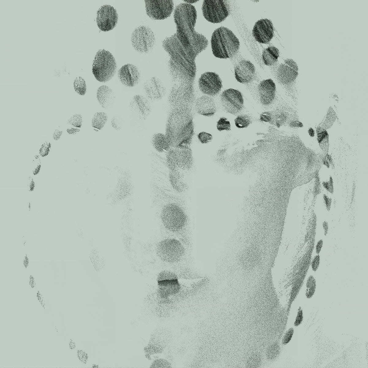 Anastasia Coope - DOT