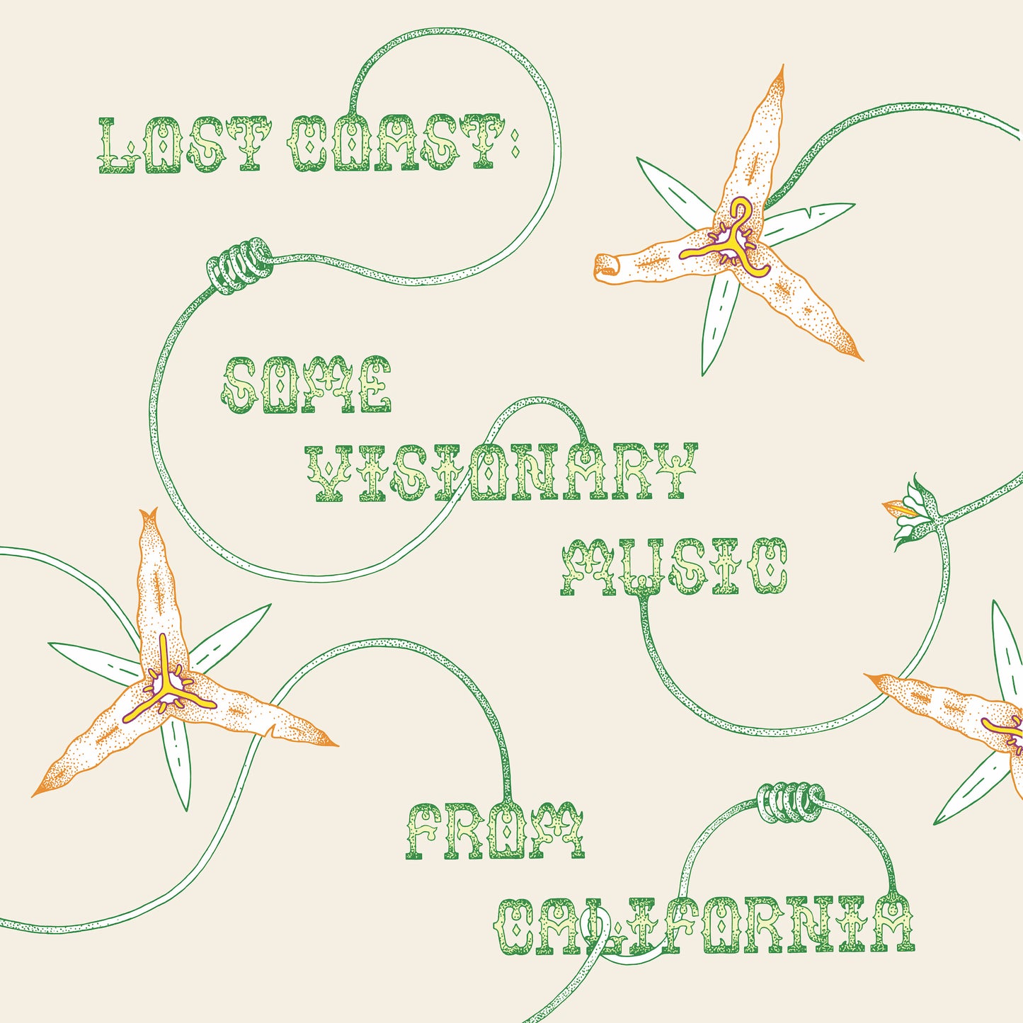 Various - Lost Coast: Some Visionary Music From California