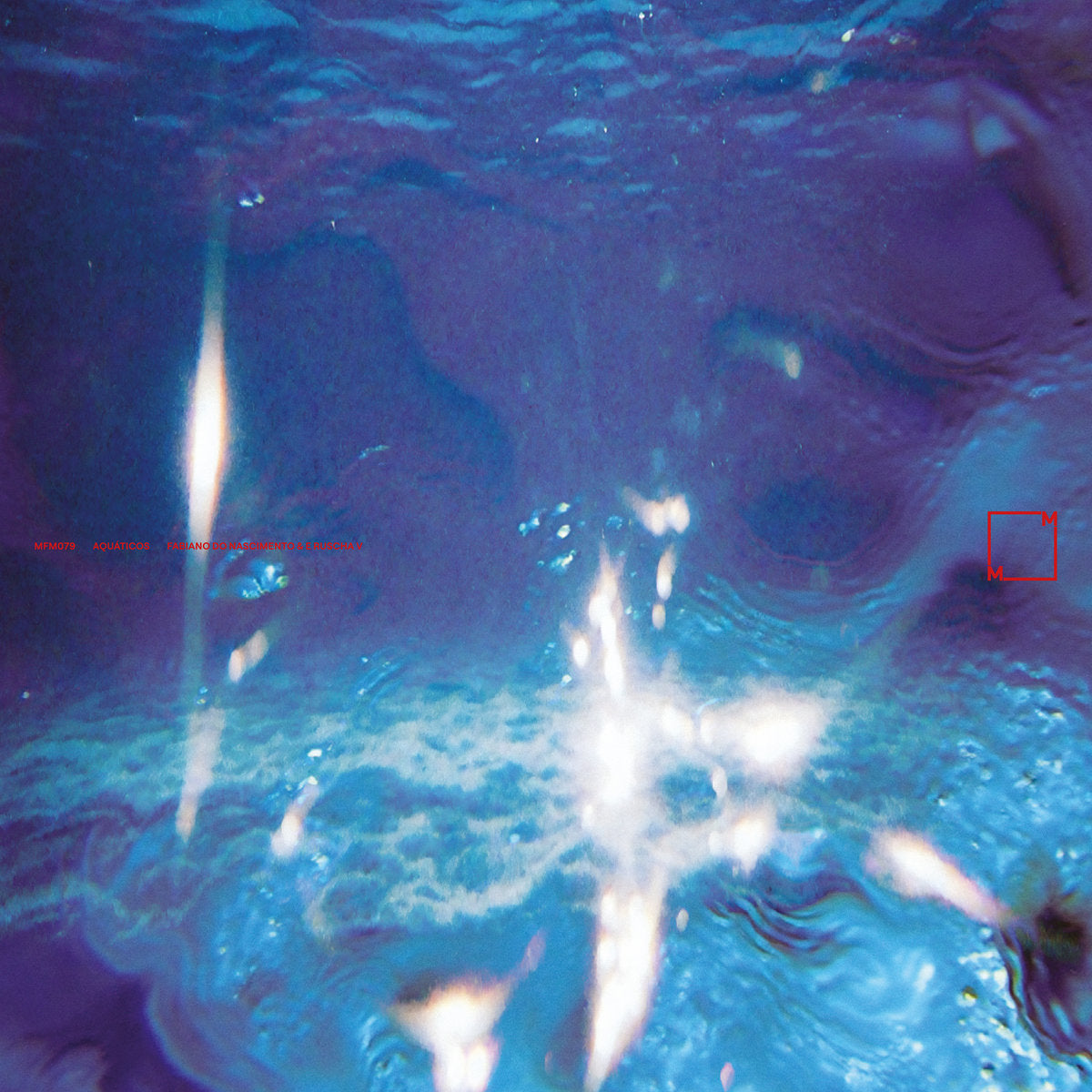 Fabiano Do Nascimento & E Ruscha V - Aquáticos