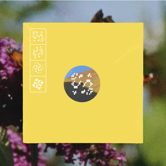 Various – Staying: Leaving Records Aid to Artists Impacted by the Los Angeles Wildfires 2LP