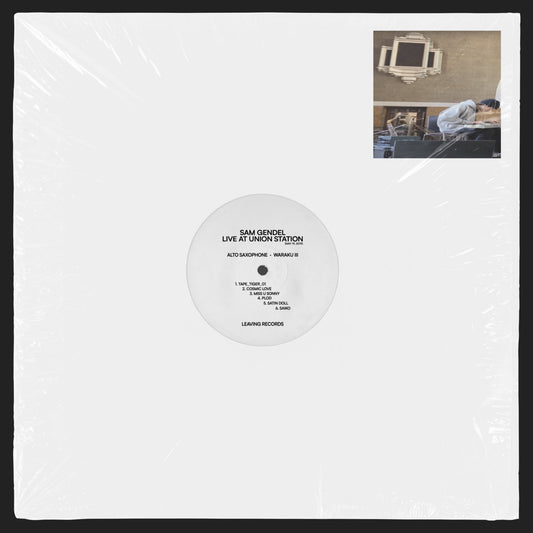 Sam Gendel – Live At Union Station LP