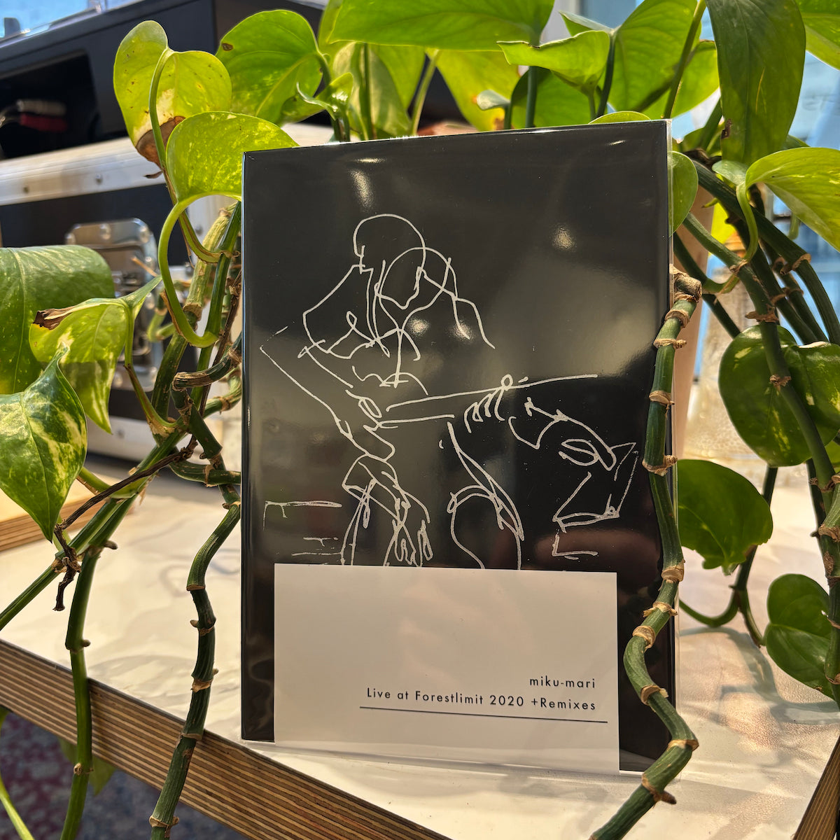 miku-mari - Live at Forestlimit 2020 + Remixes