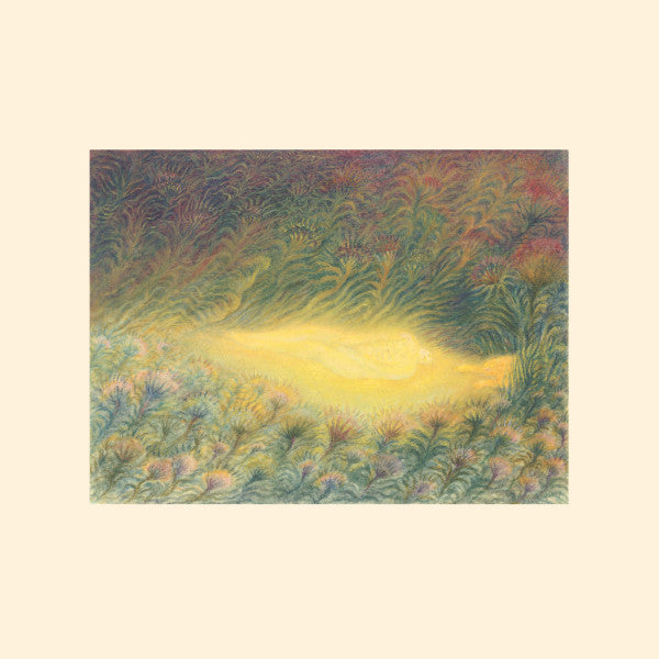 Sofie Birch & Antonina Nowacka – Languoria LP