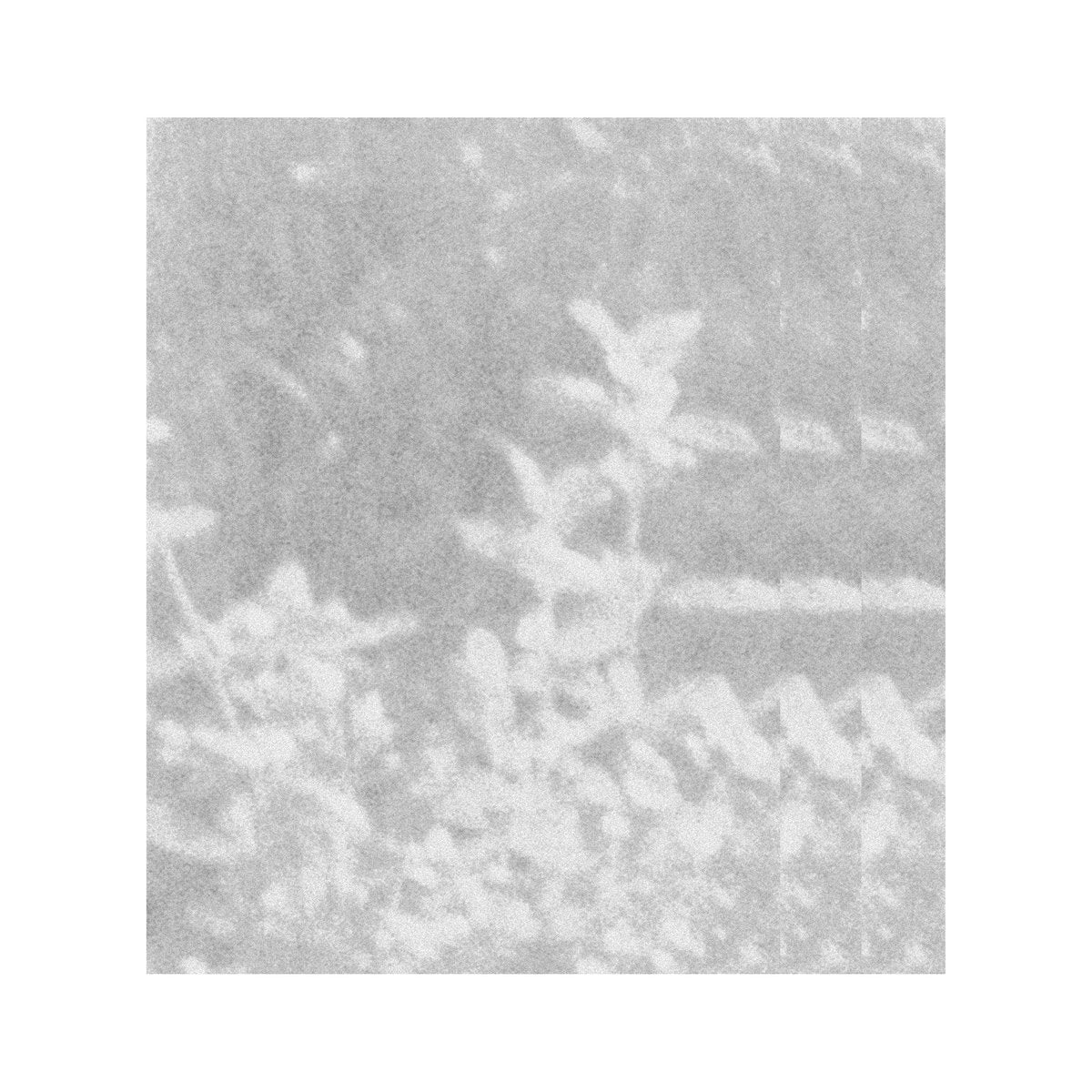 Glen Rey. – Of That Which We Cannot Speak...