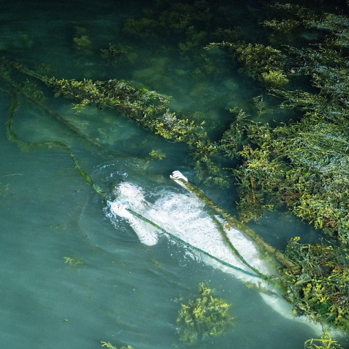 Pietu Arvola – Meidän Täytyy Valvoa Jottemme Nukkuisi, Sillä Maailma On Liukas