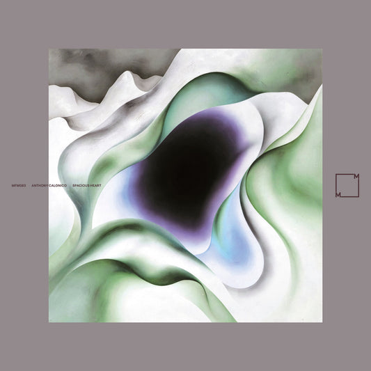 Anthony Calonico – Spacious Heart (LP)