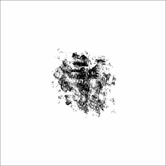 Iri.gram - False 04 12"