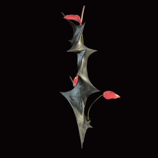 Chris Williams - Odu: Vibration II