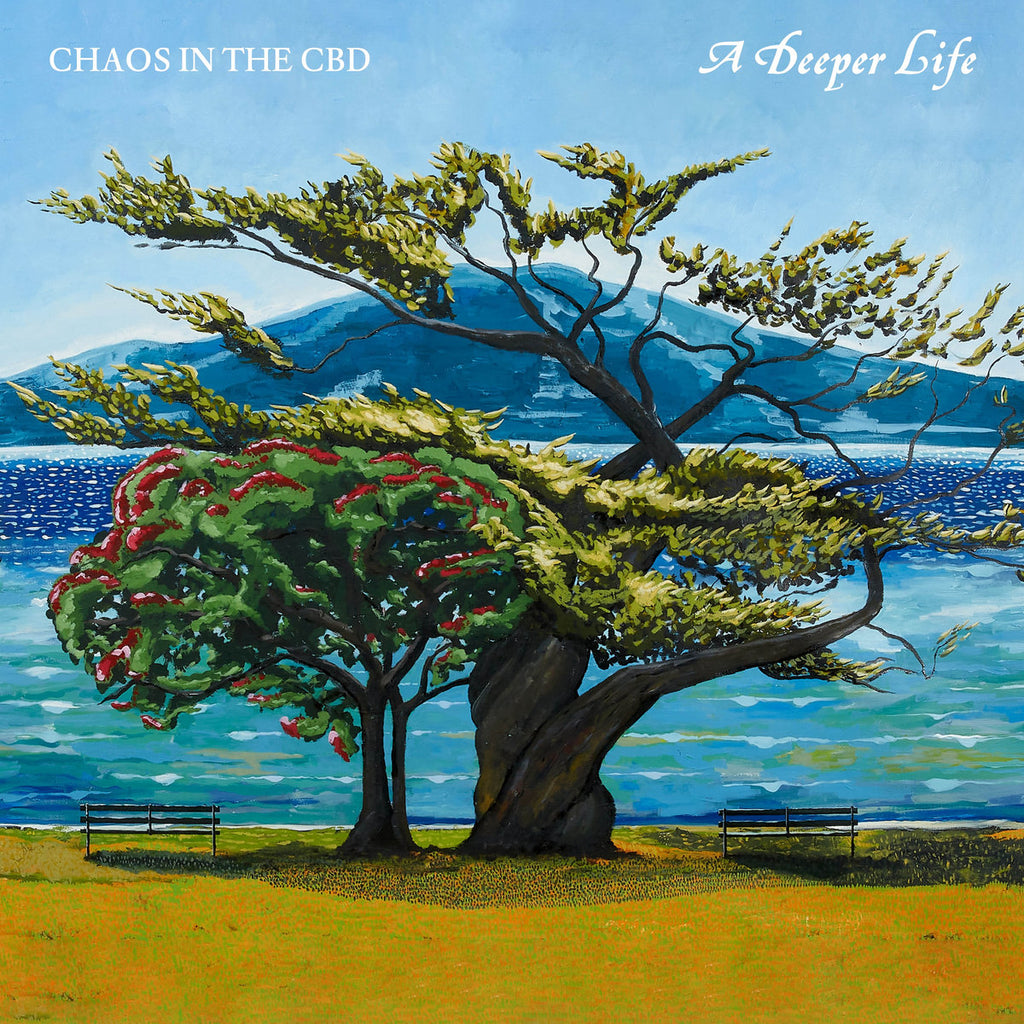 Chaos In The CBD – A Deeper Life