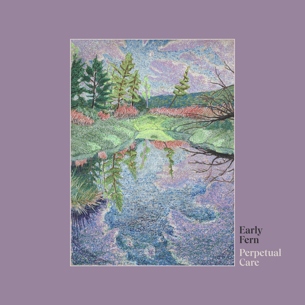 Early Fern - Perpetual Care