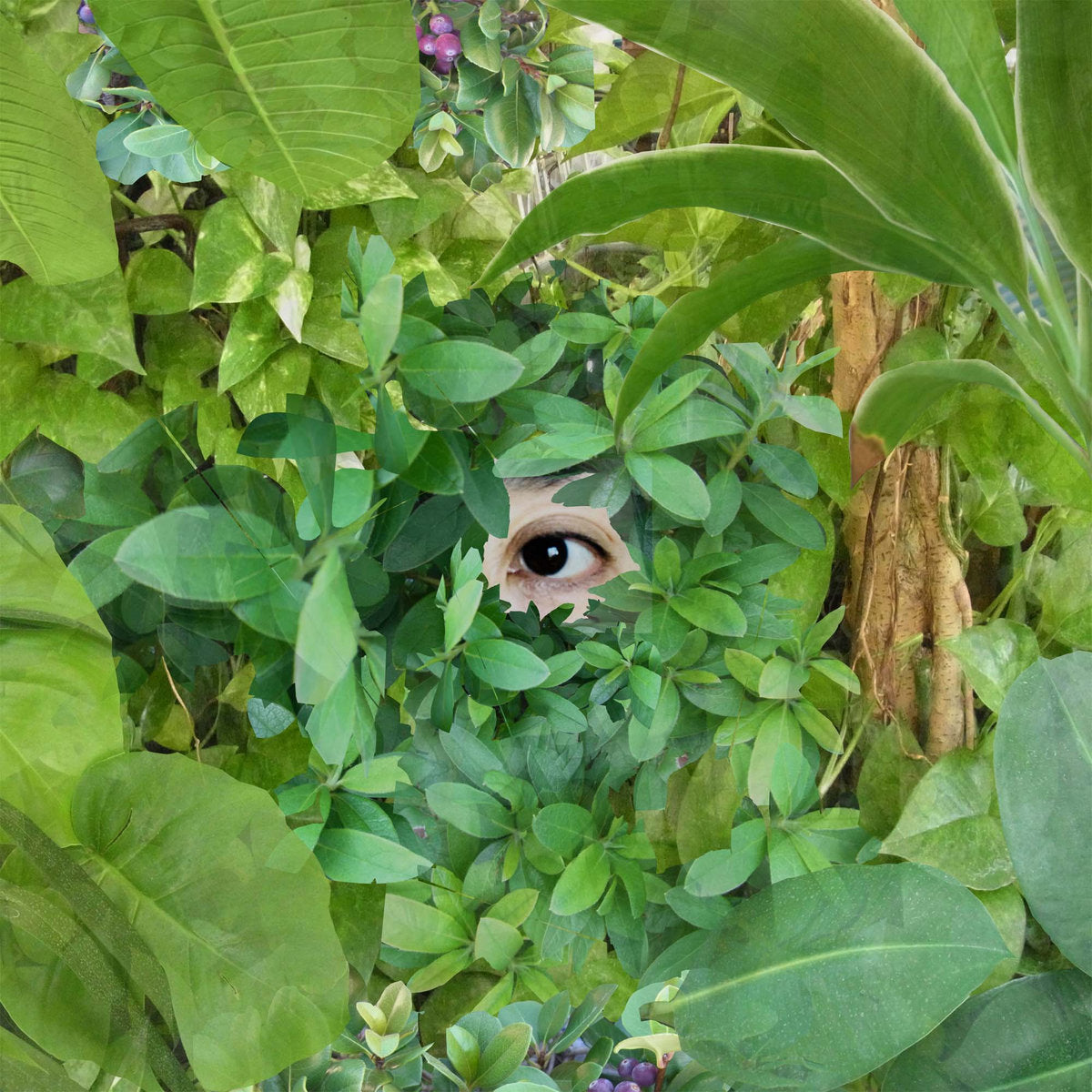 Mari Sekine - Beginning