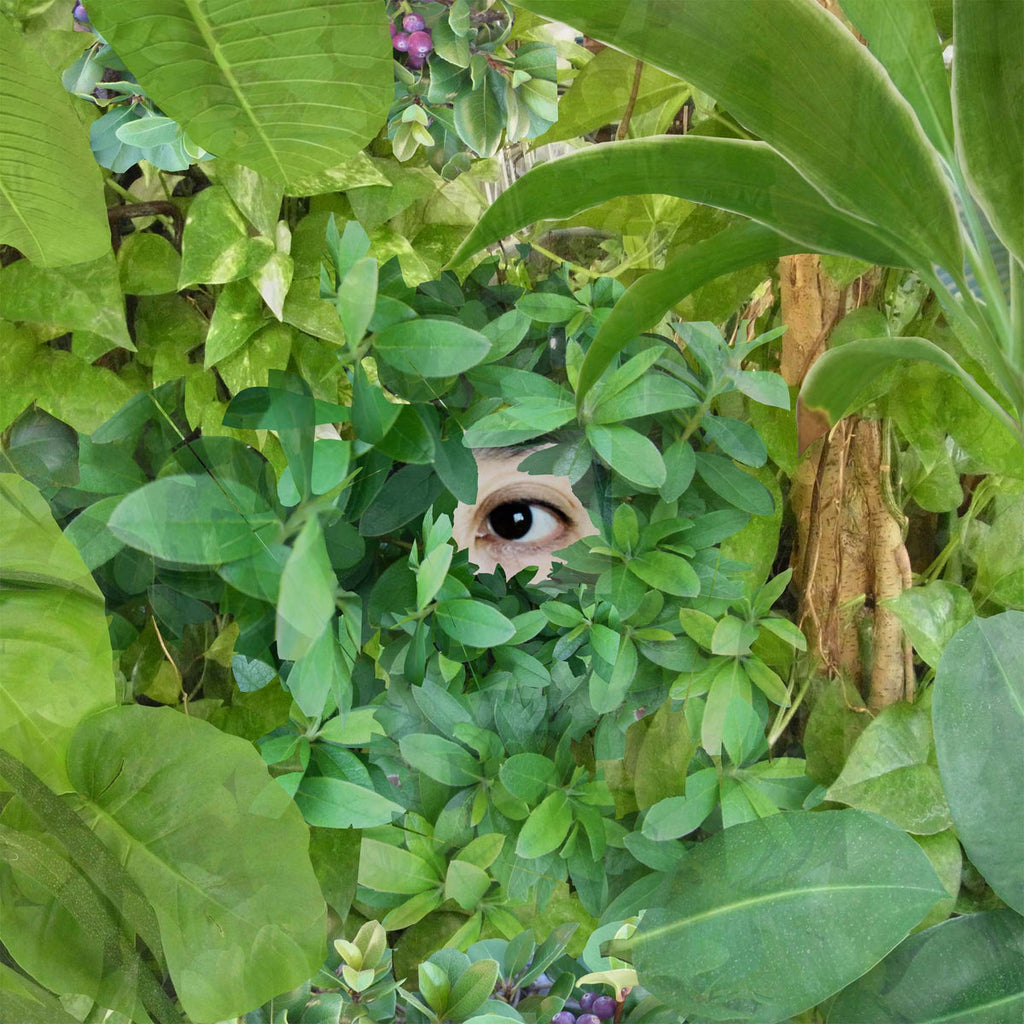 Mari Sekine - Beginning