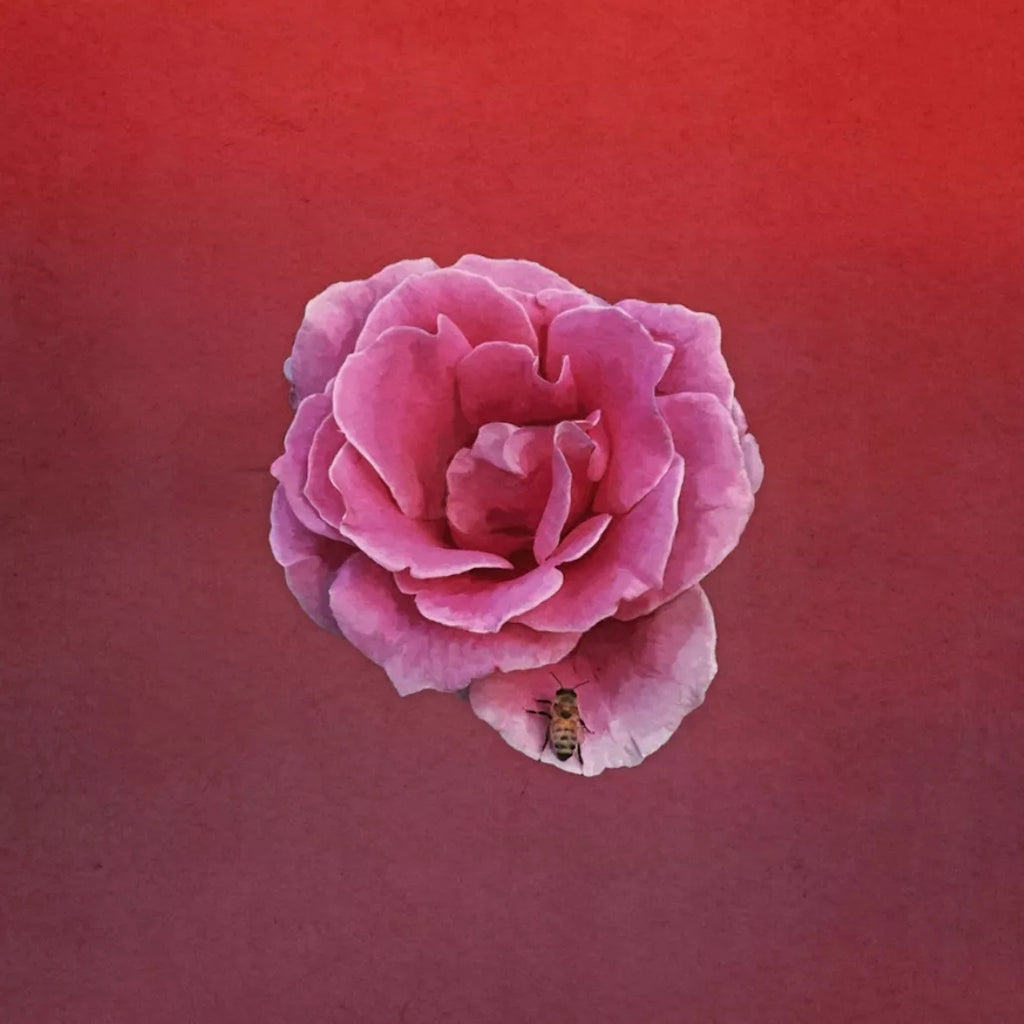 Crash Richard - Any One Thing