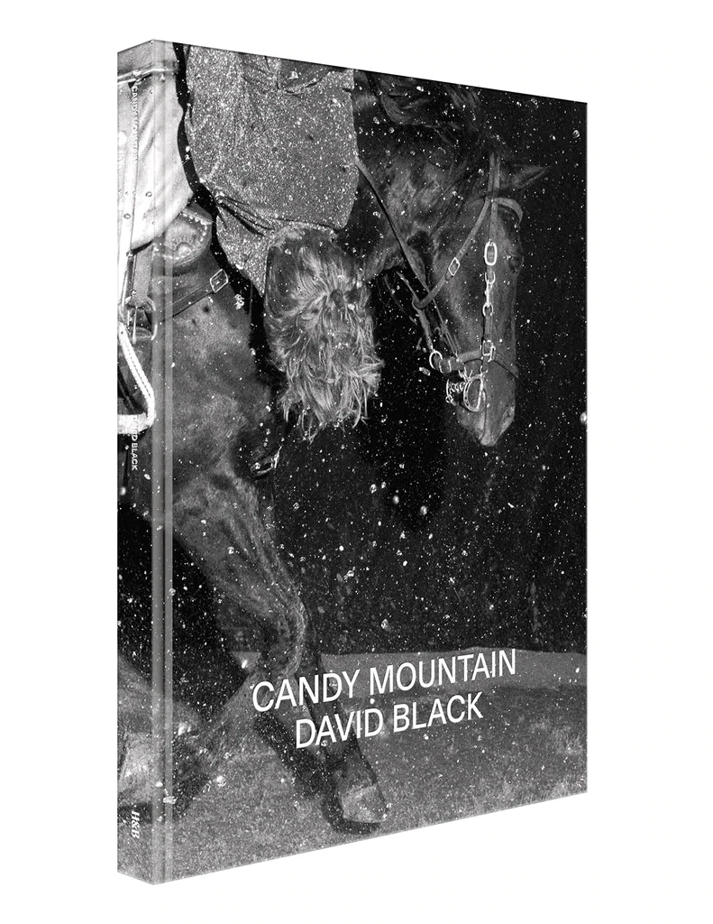 CANDY MOUNTAIN - DAVID BLACK BOOK