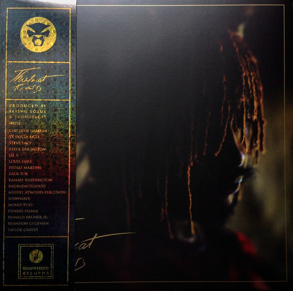 Thundercat – It Is What It Is LP