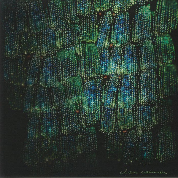 Clan Caimán – Asoma LP