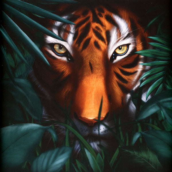 A Vision of Panorama – Unique Tiger LP