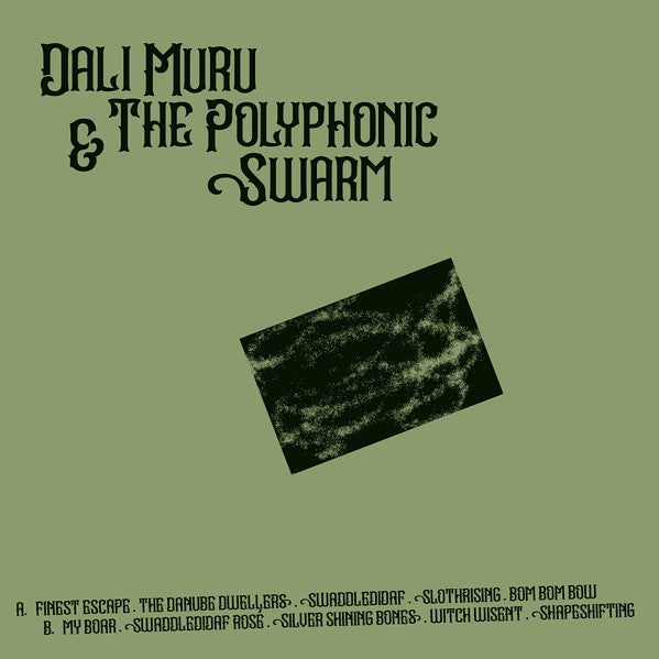 Dali Muru & The Polyphonic Swarm – Dali Muru & The Polyphonic Swarm LP