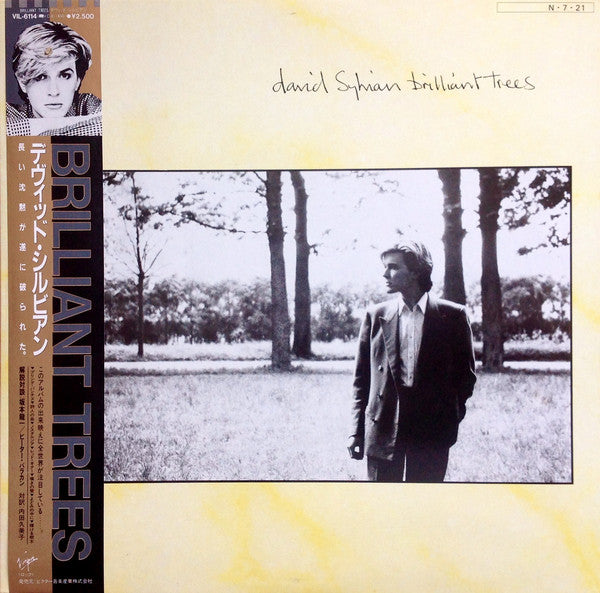 David Sylvian = デヴィッド・シルビアン - Brilliant Trees LP