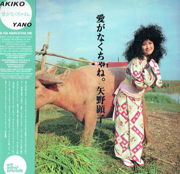 Akiko Yano – Ai Ga Nakucha Ne LP