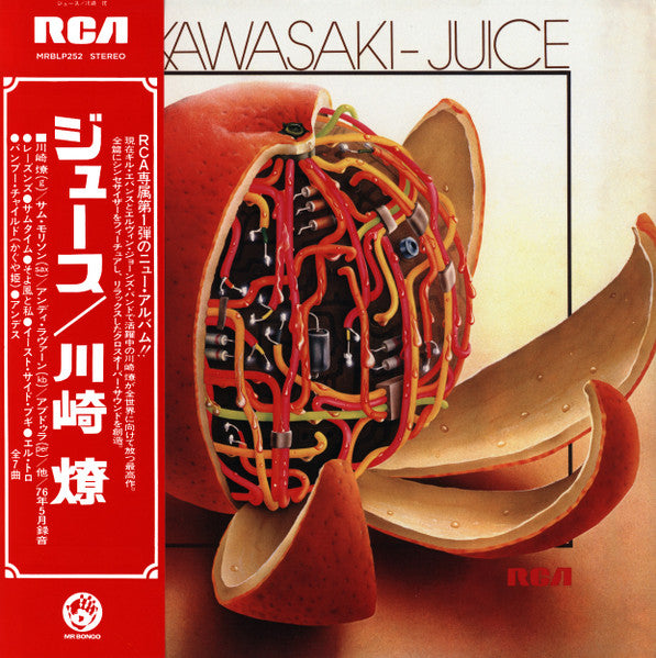 Ryo Kawasaki– Juice LP