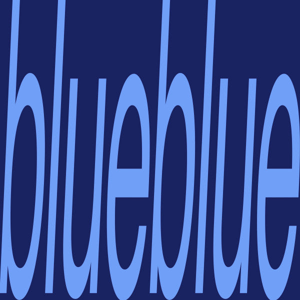 Sam Gendel – blueblue LP