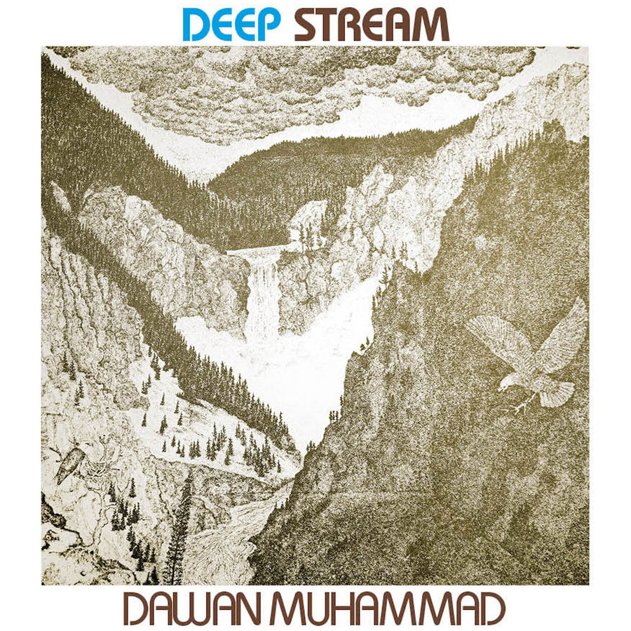 Dawan Muhammad ‎- Deep Stream LP
