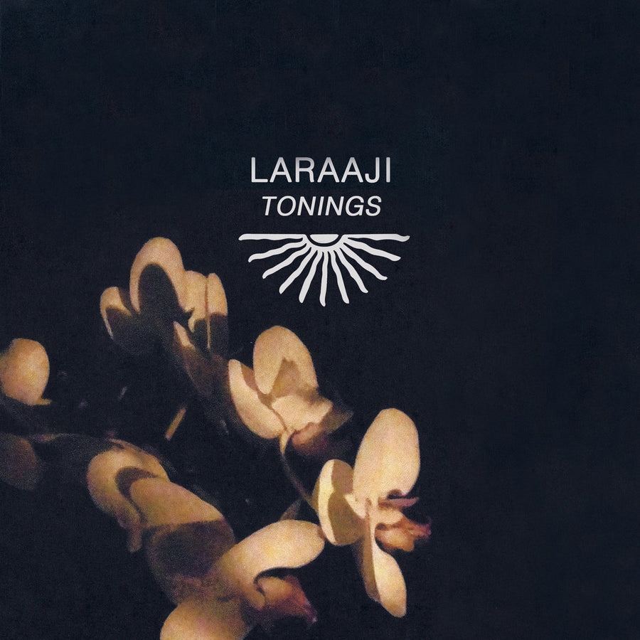 Laraaji – Tonings CS