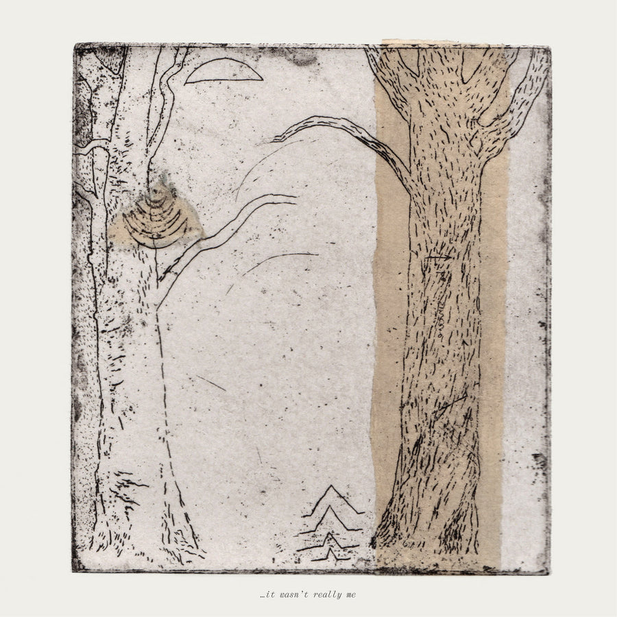 Various – ...it wasn't really me LP