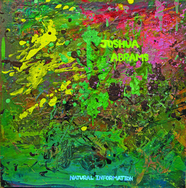 Joshua Abrams ‎- Natural Information LP