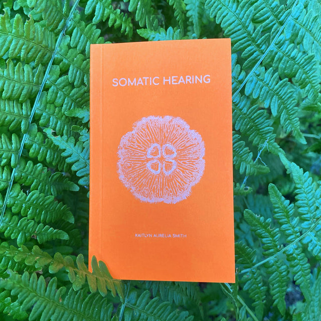 Kaitlyn Aurelia Smith - Somatic Hearing Book