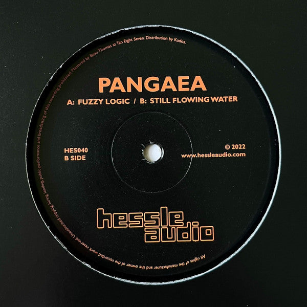 Pangaea – Fuzzy Logic / Still Flowing Water 12”
