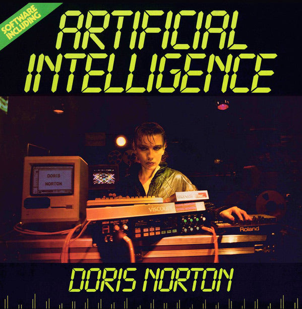 Doris Norton – Artificial Intelligence LP