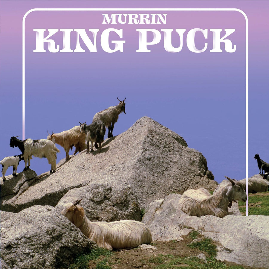 Murrin – King Puck 12"