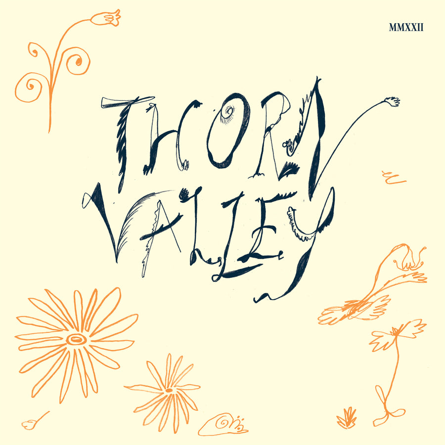 Various – Thorn Valley 2LP